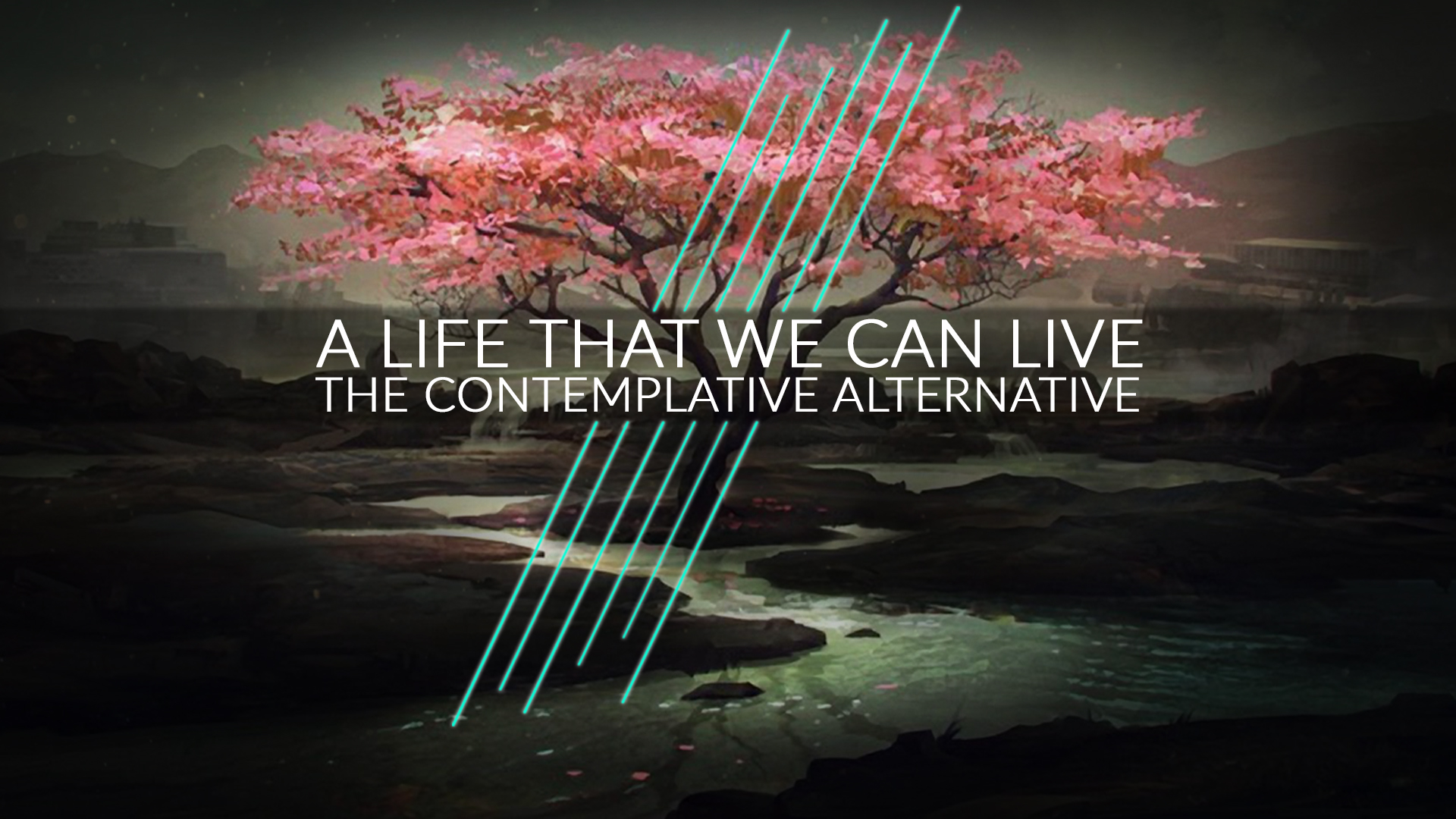 the-contemplative-alternative-word-of-life-church